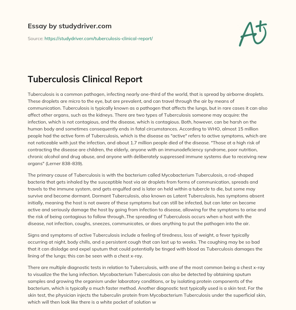 Tuberculosis Clinical Report essay