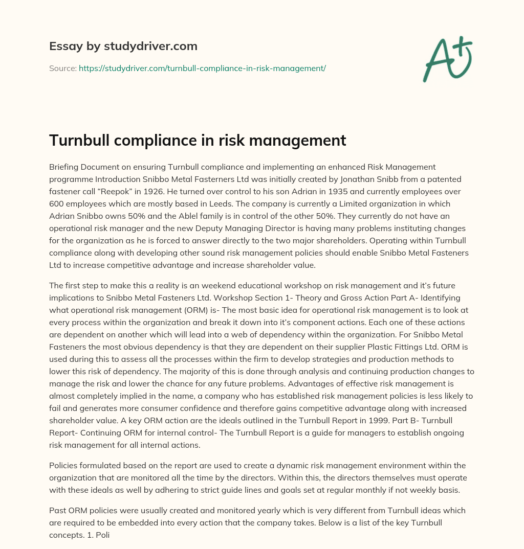 Turnbull Compliance in Risk Management essay