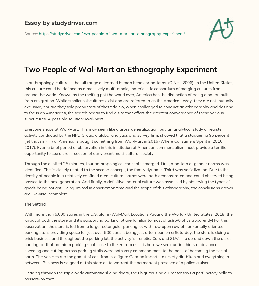 Two People of Wal-Mart an Ethnography Experiment essay