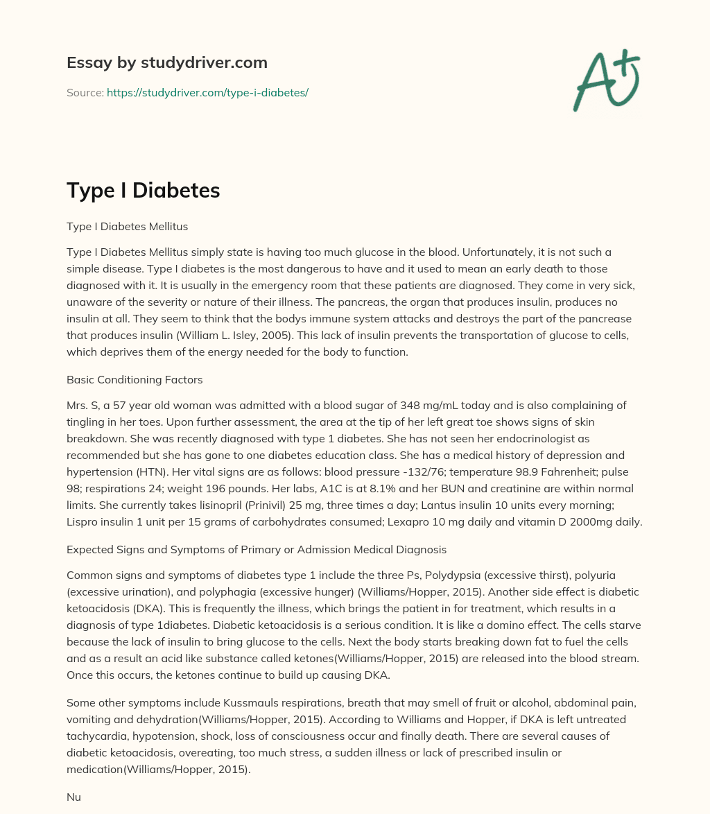Type i Diabetes essay