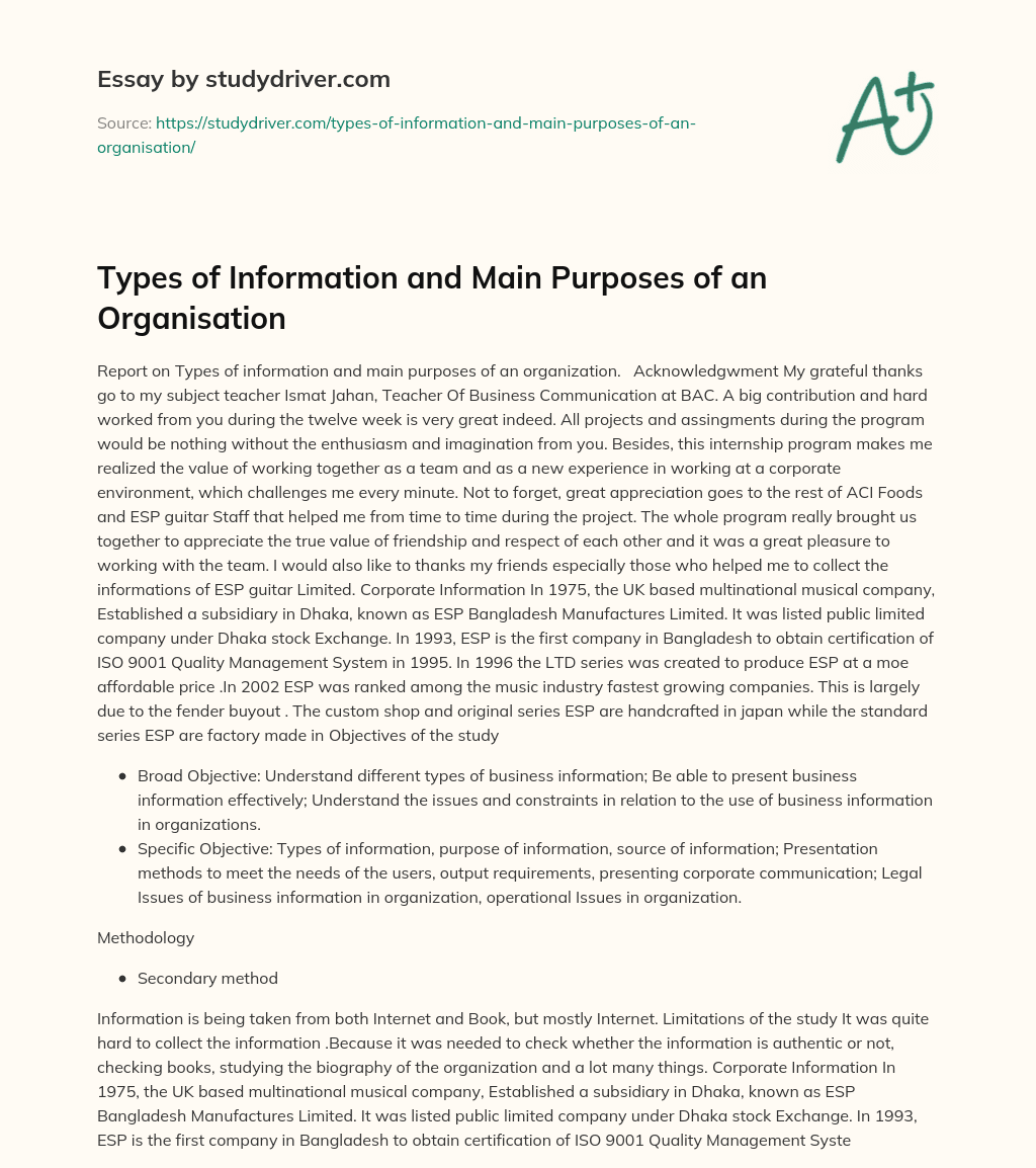 Types of Information and Main Purposes of an Organisation essay
