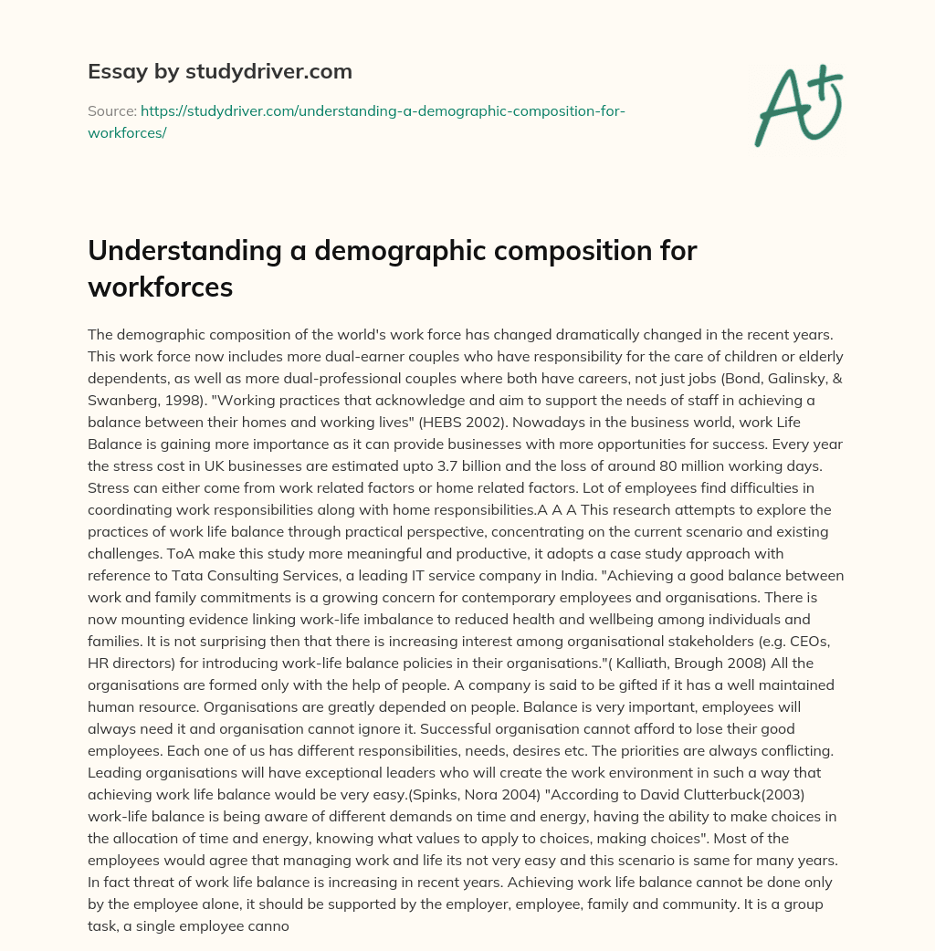 Understanding a Demographic Composition for Workforces essay