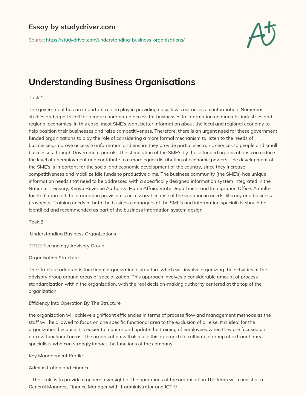 Understanding Business Organisations essay
