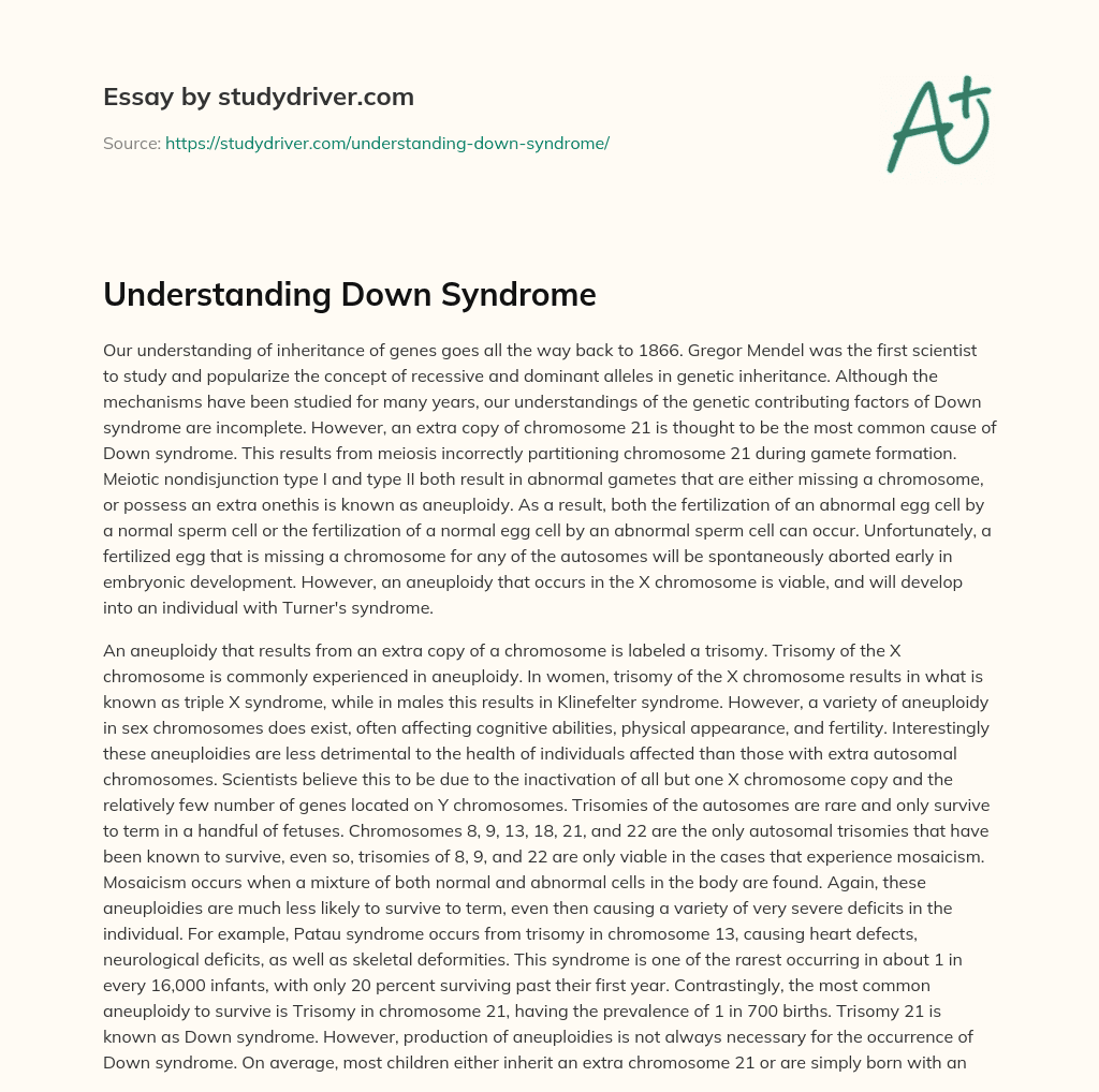 Understanding down Syndrome essay