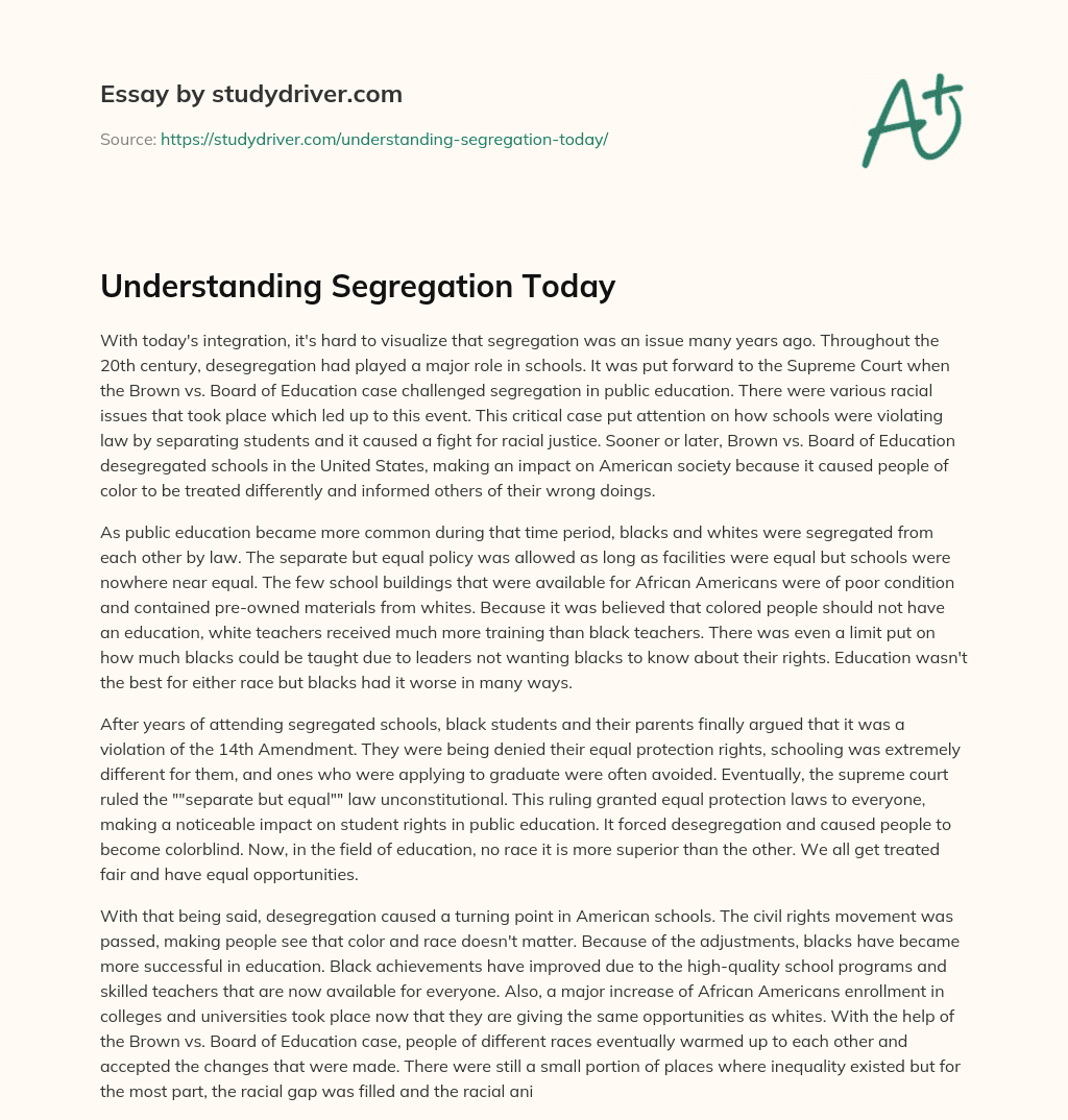 Understanding Segregation Today essay