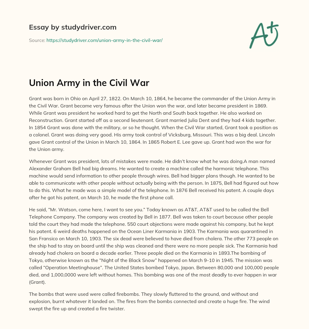 Union Army in the Civil War essay