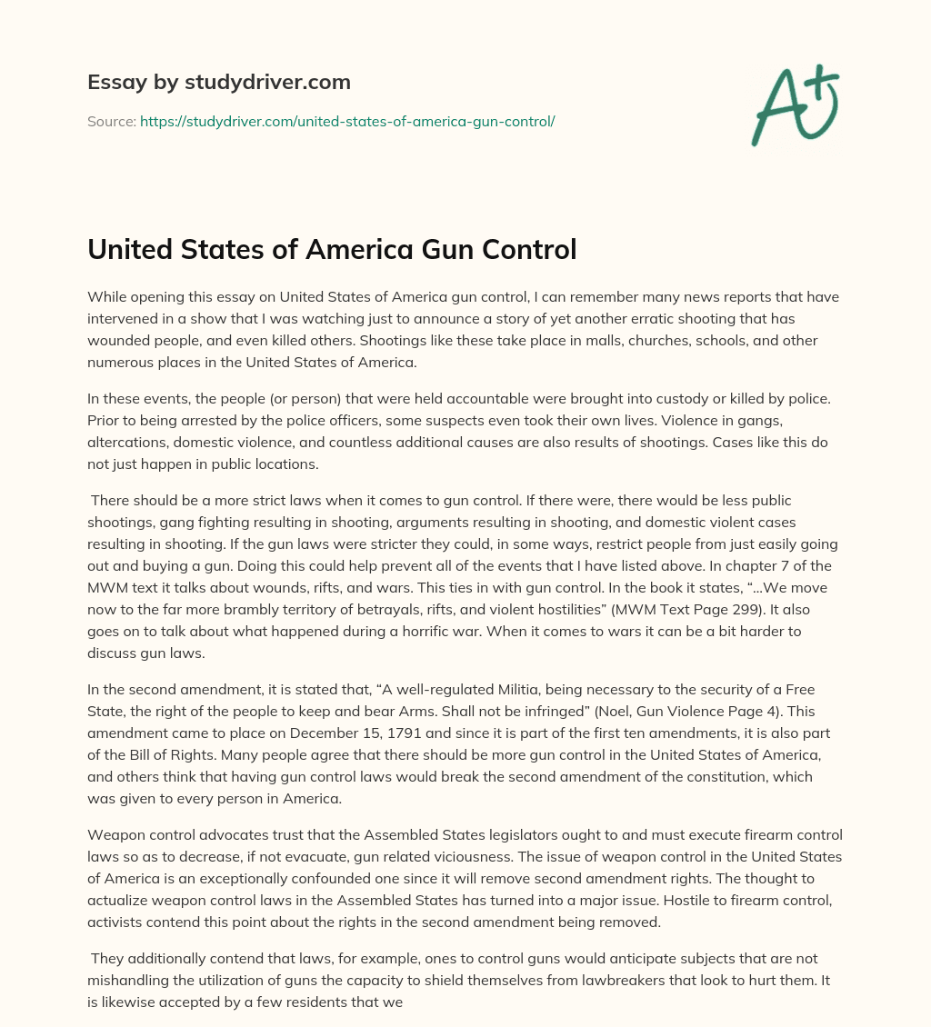 United States of America Gun Control essay