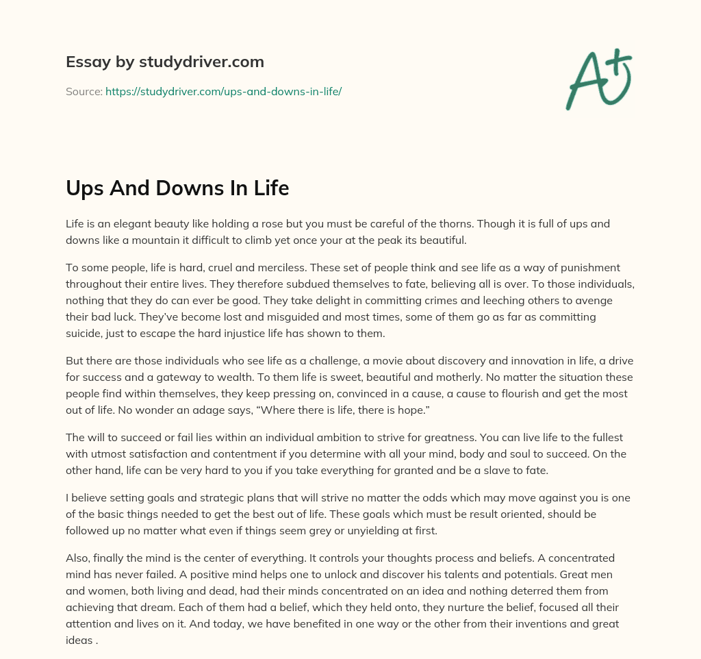 Ups and Downs in Life essay