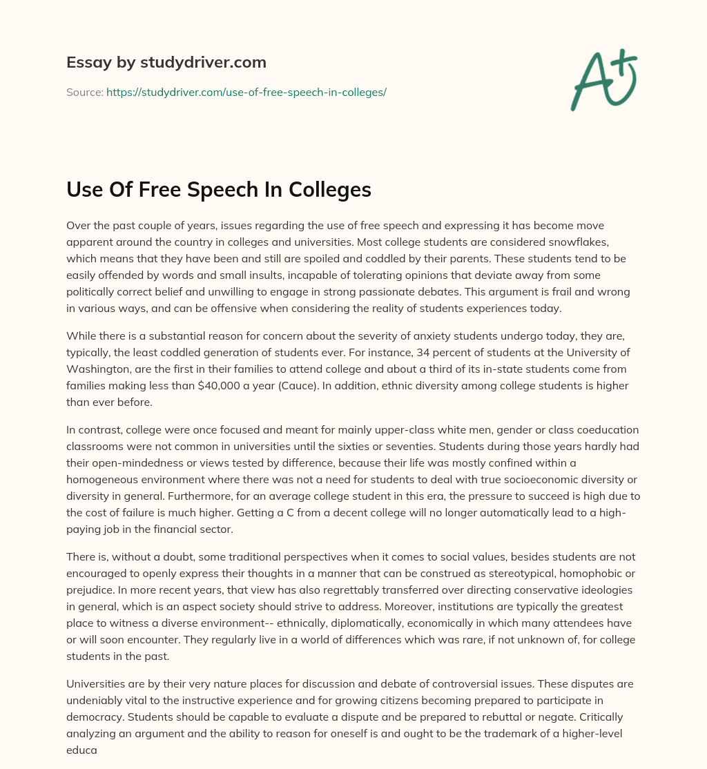 Use of Free Speech in Colleges essay