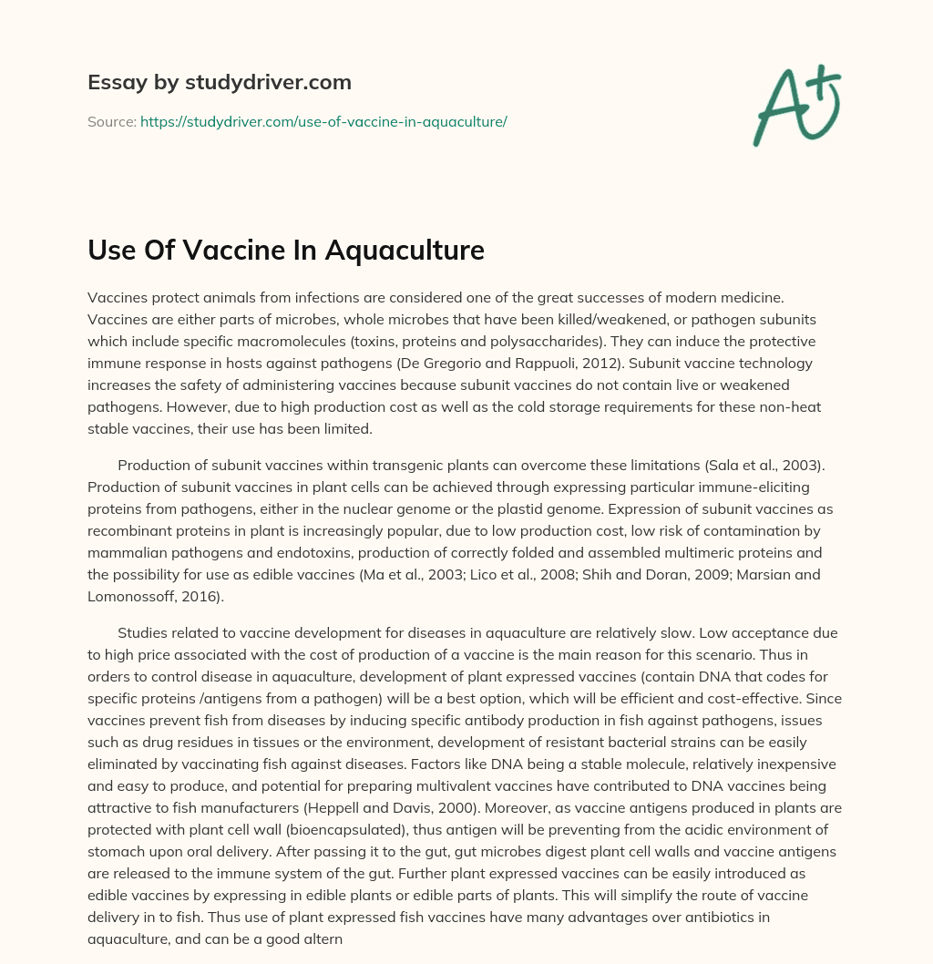 Use of Vaccine in Aquaculture essay