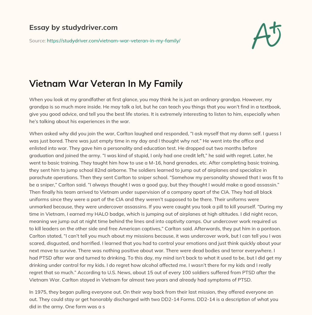 Vietnam War Veteran in my Family essay