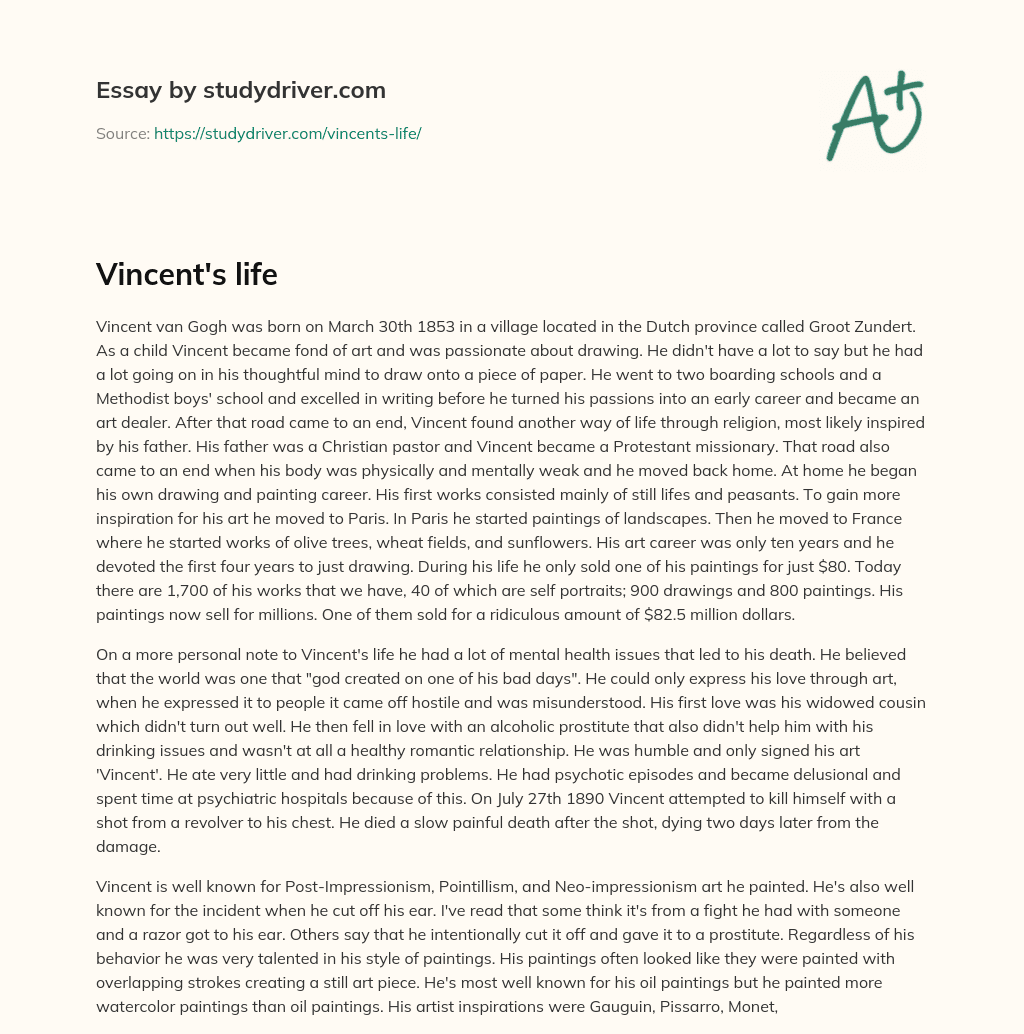 Vincent’s Life essay