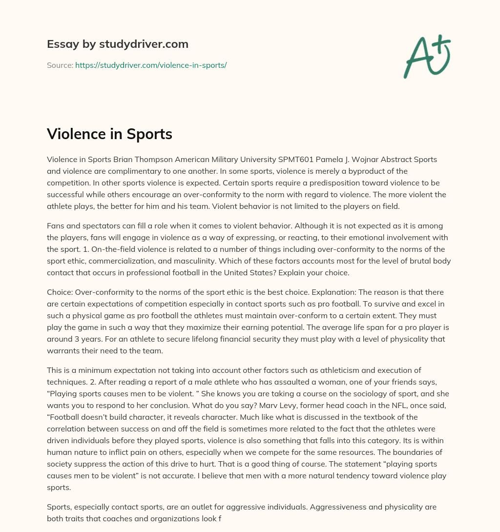 Violence in Sports essay