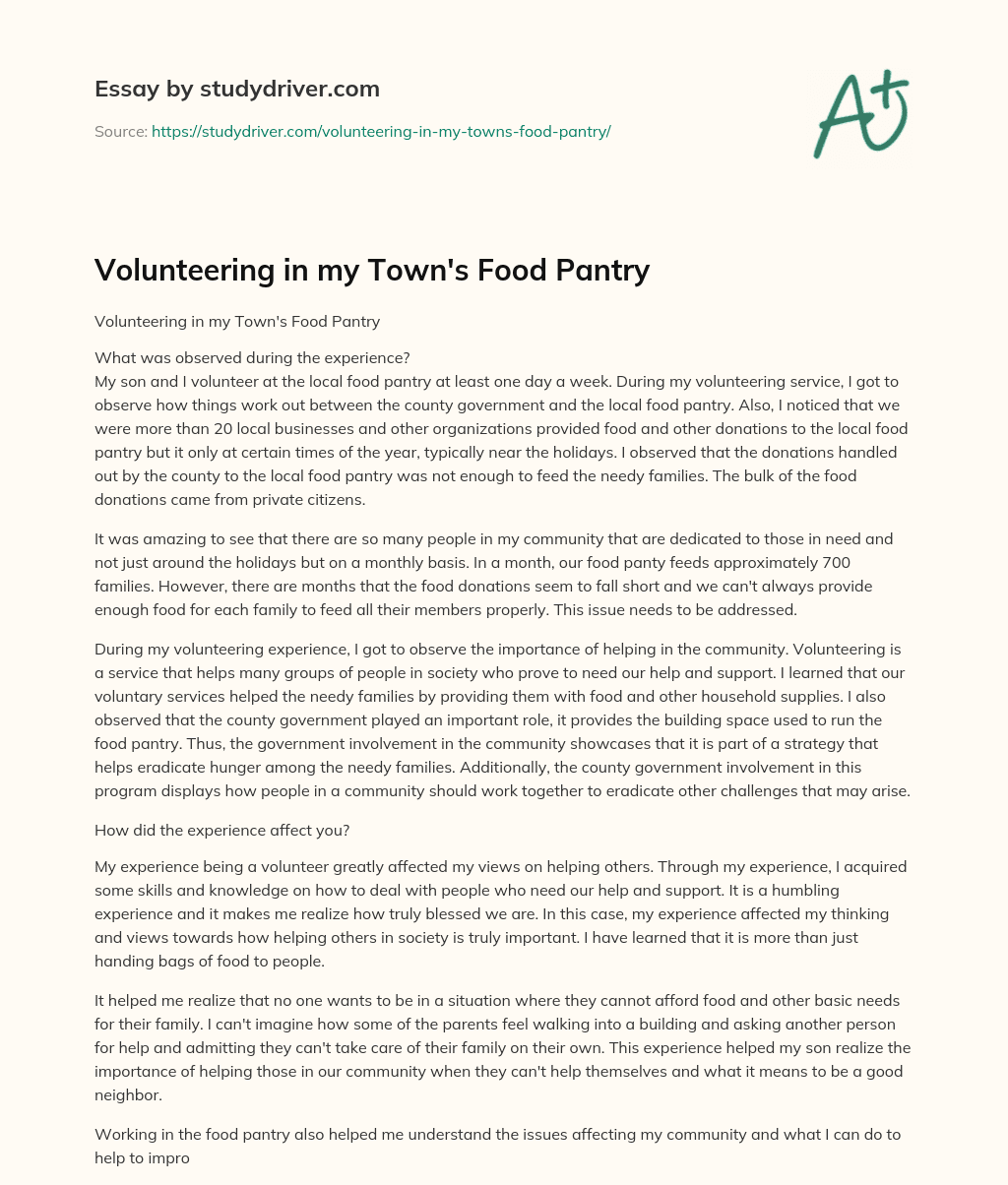Volunteering in my Town’s Food Pantry essay