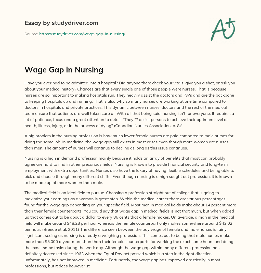 Wage Gap in Nursing essay