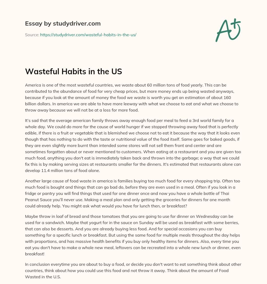 Wasteful Habits in the US essay