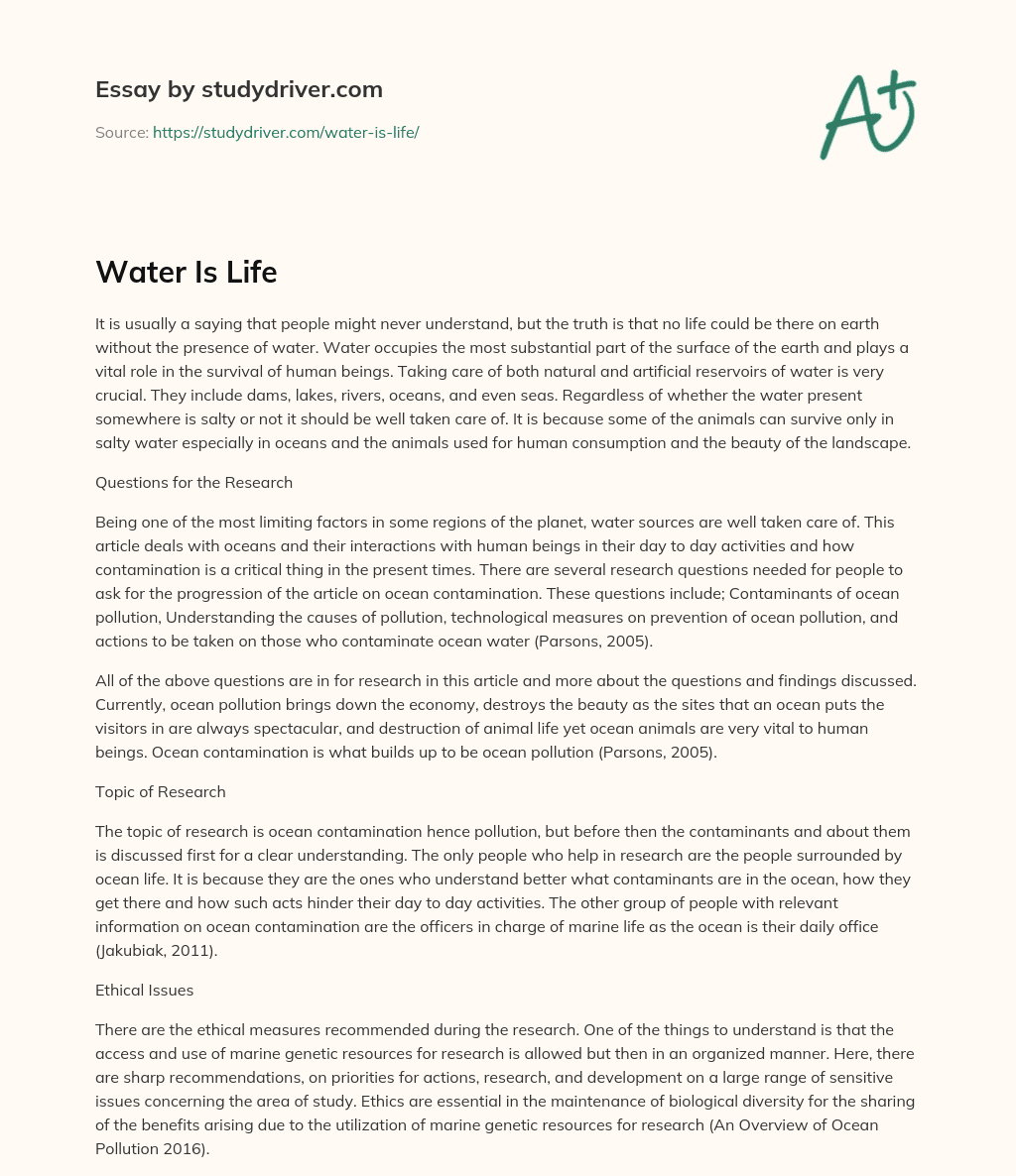 Water is Life essay