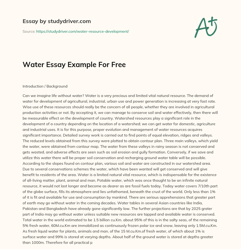 Water Essay Example for Free essay