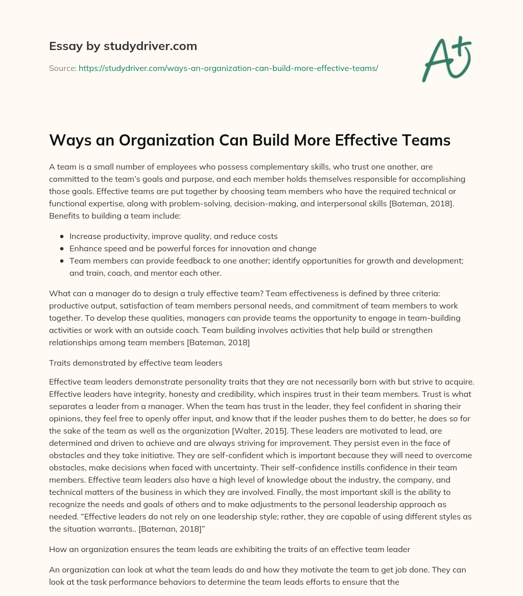 Ways an Organization Can Build more Effective Teams essay