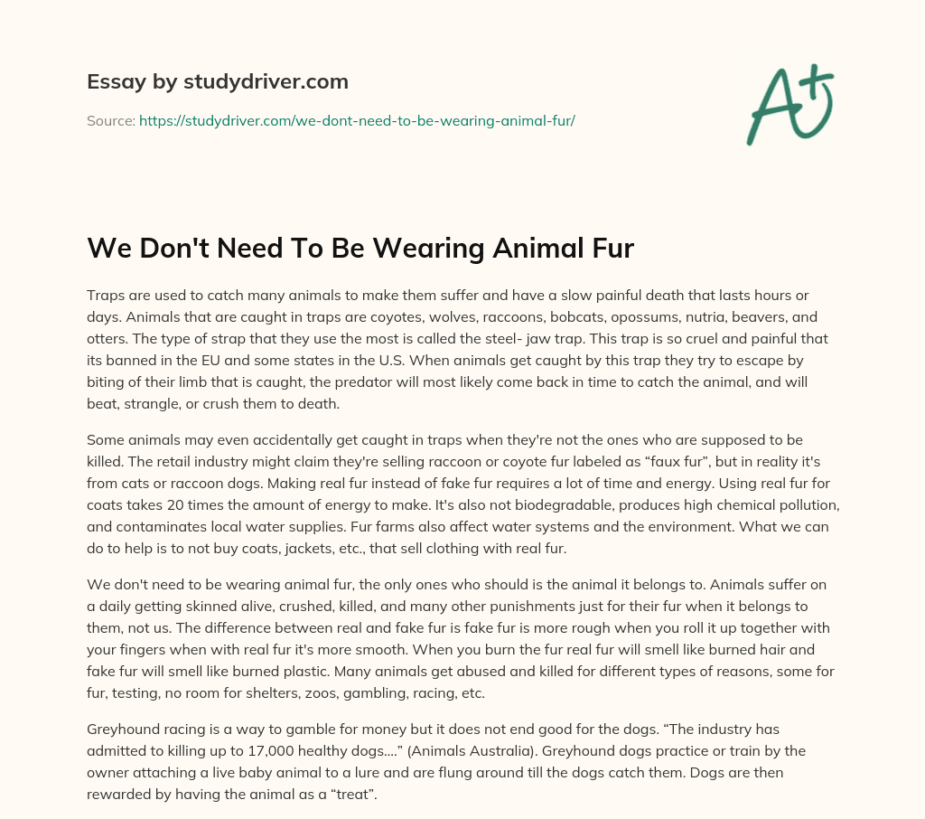We don’t Need to be Wearing Animal Fur essay