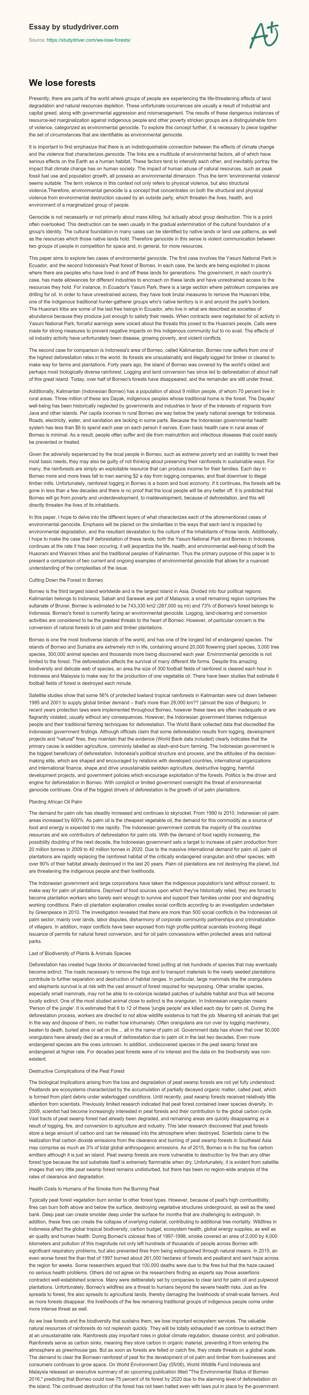 We Lose Forests essay