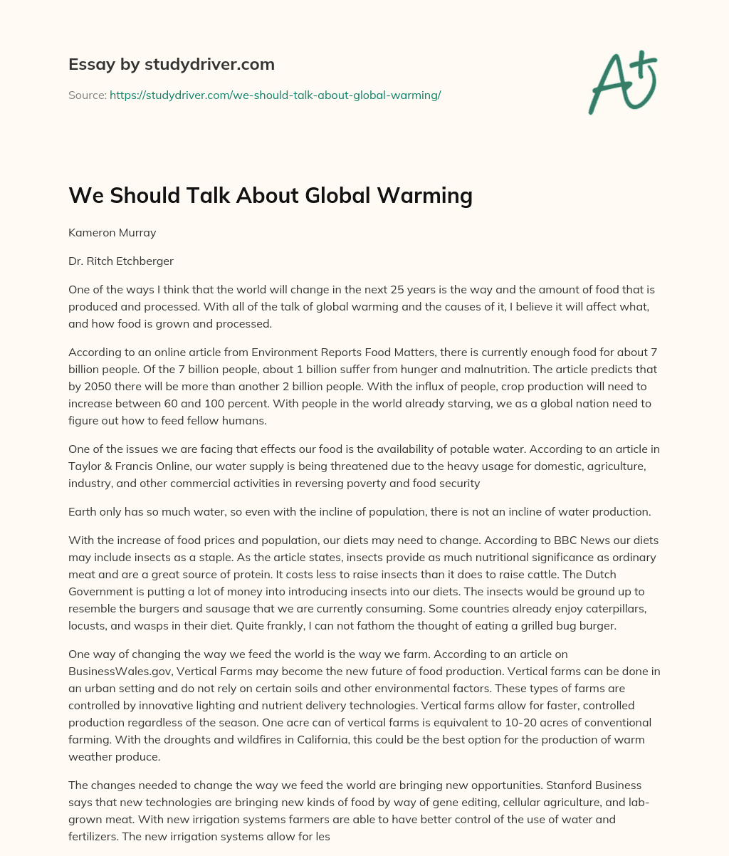 We should Talk about Global Warming essay