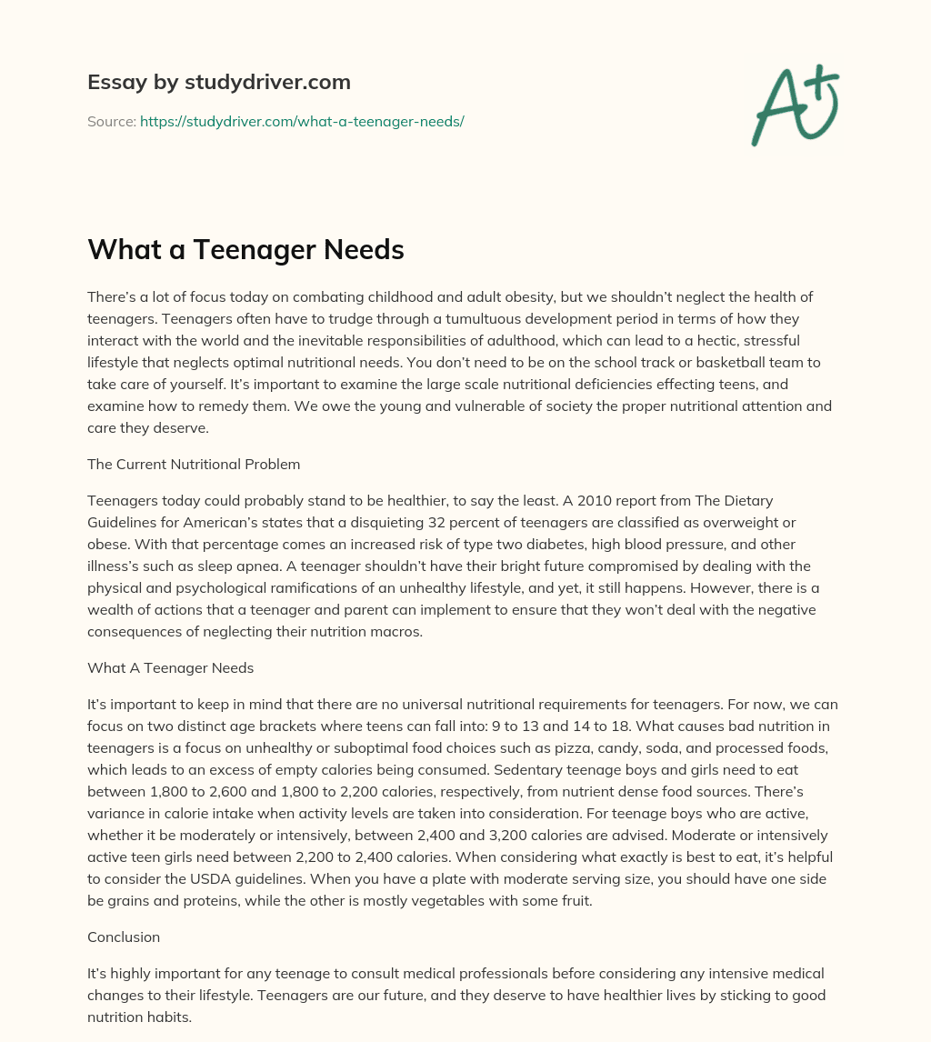 What a Teenager Needs essay