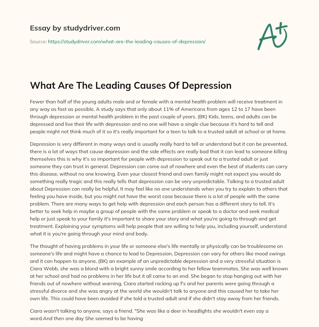 What are the Leading Causes of Depression essay