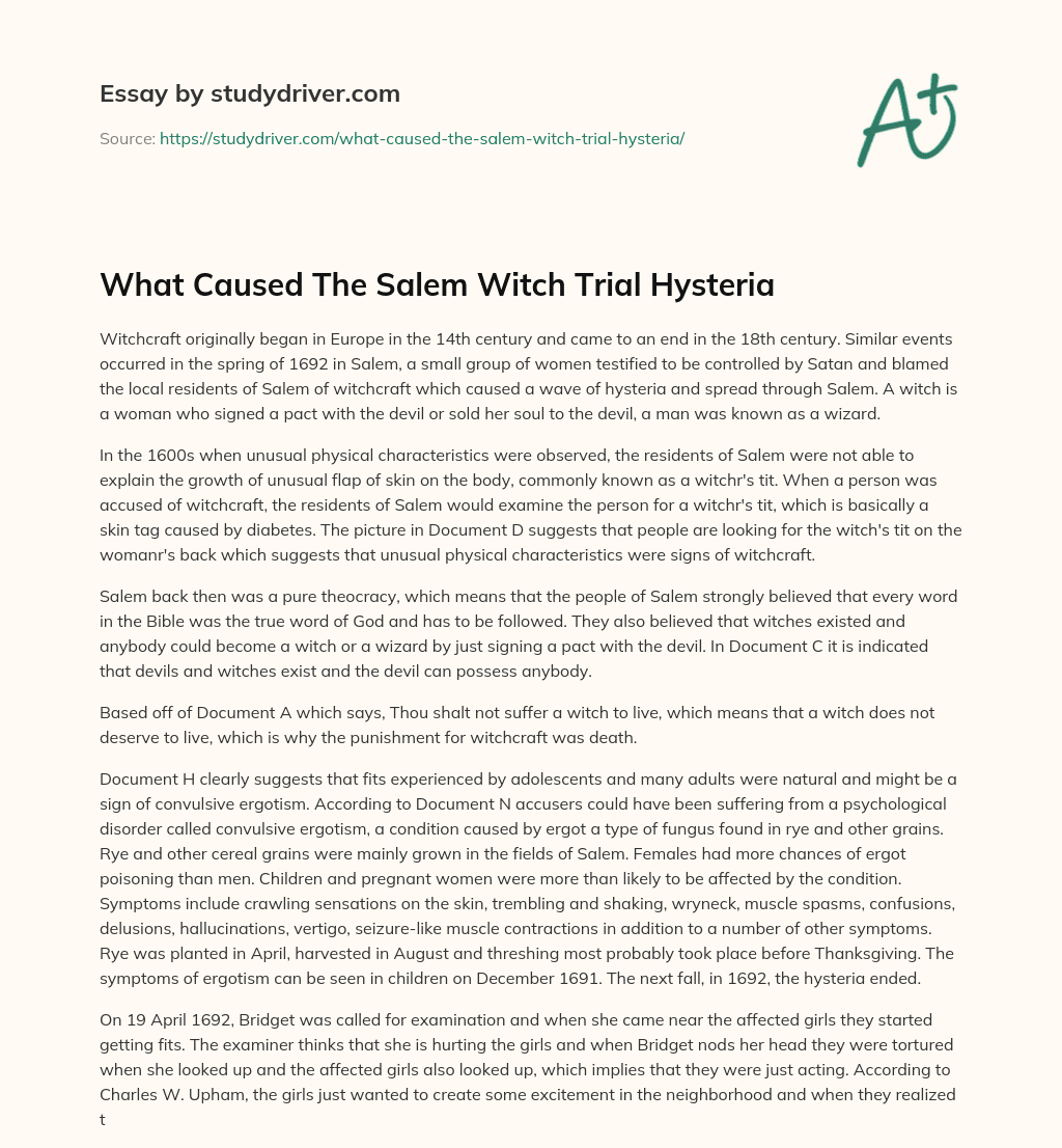 What Caused the Salem Witch Trial Hysteria essay