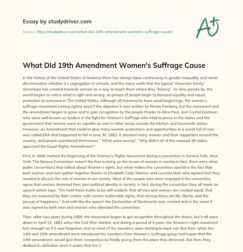 What did 19th Amendment Women’s Suffrage Cause essay