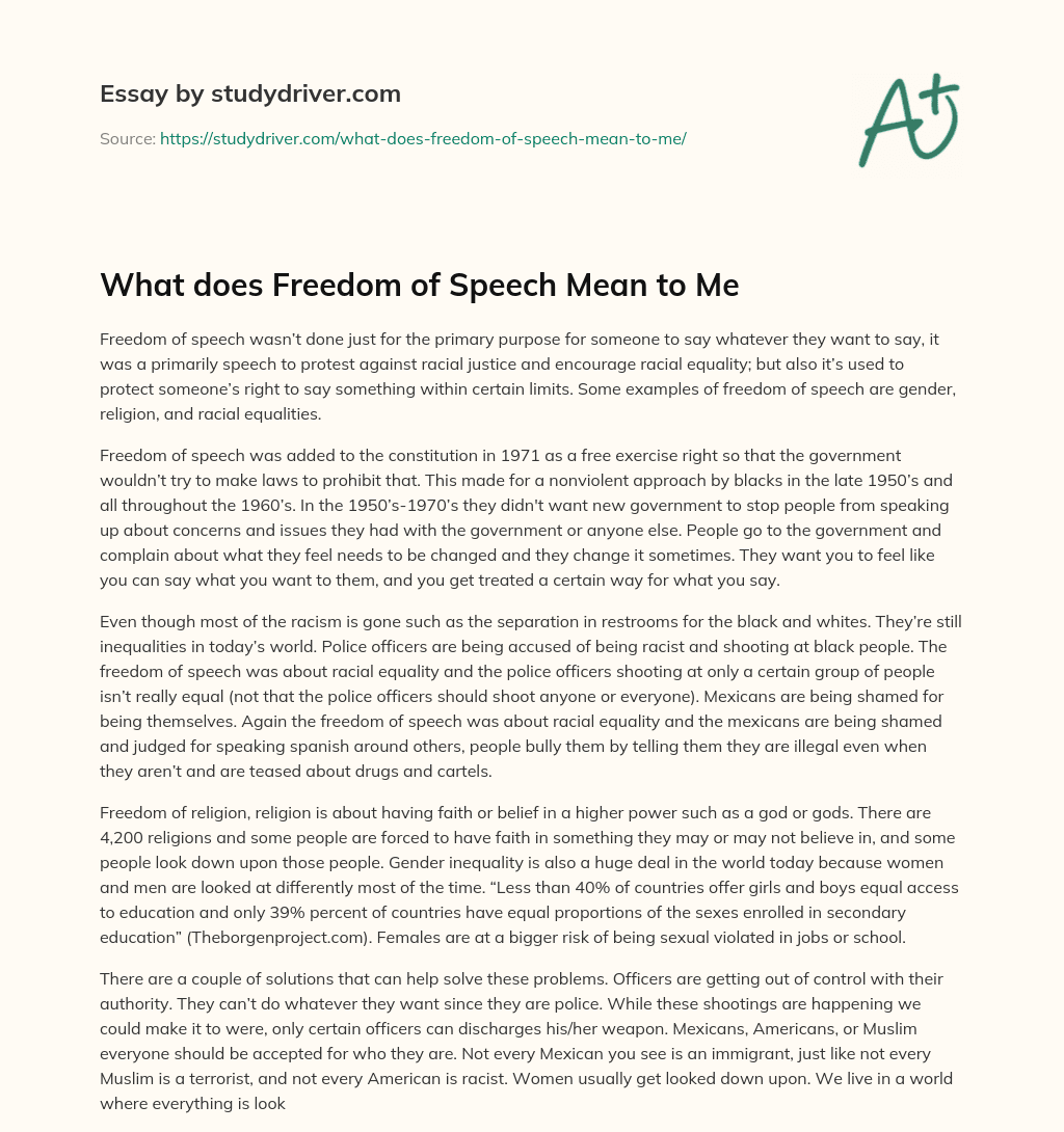 What does Freedom of Speech Mean to me essay