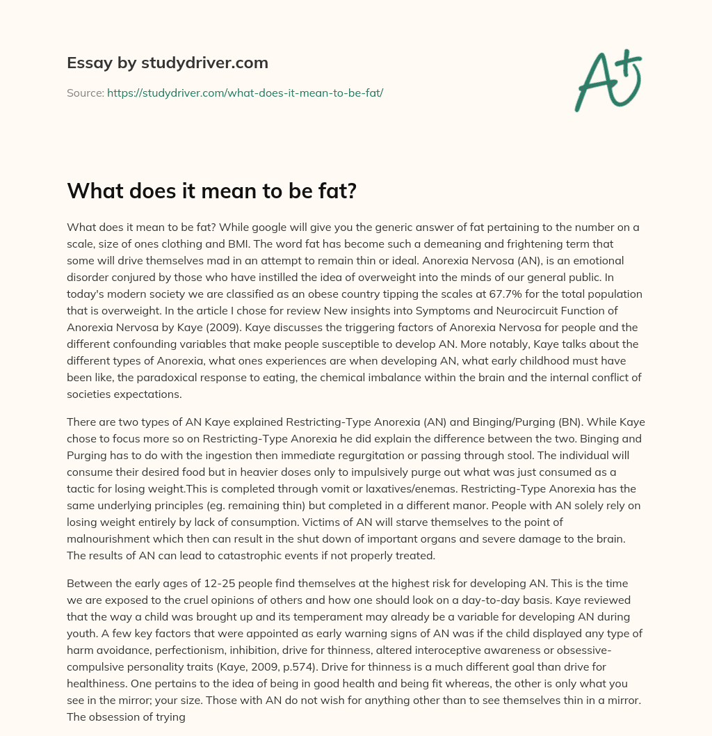 What does it Mean to be Fat? essay