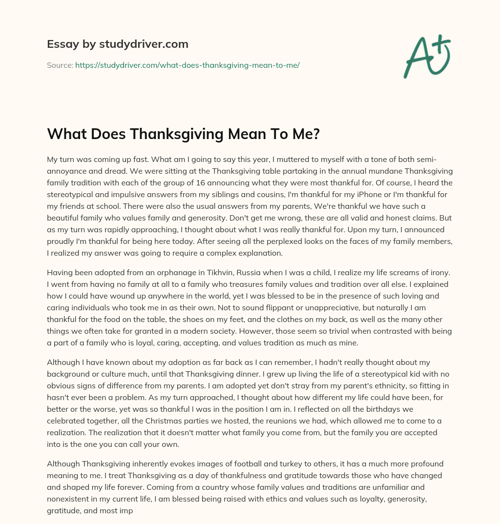 What does Thanksgiving Mean to Me? essay