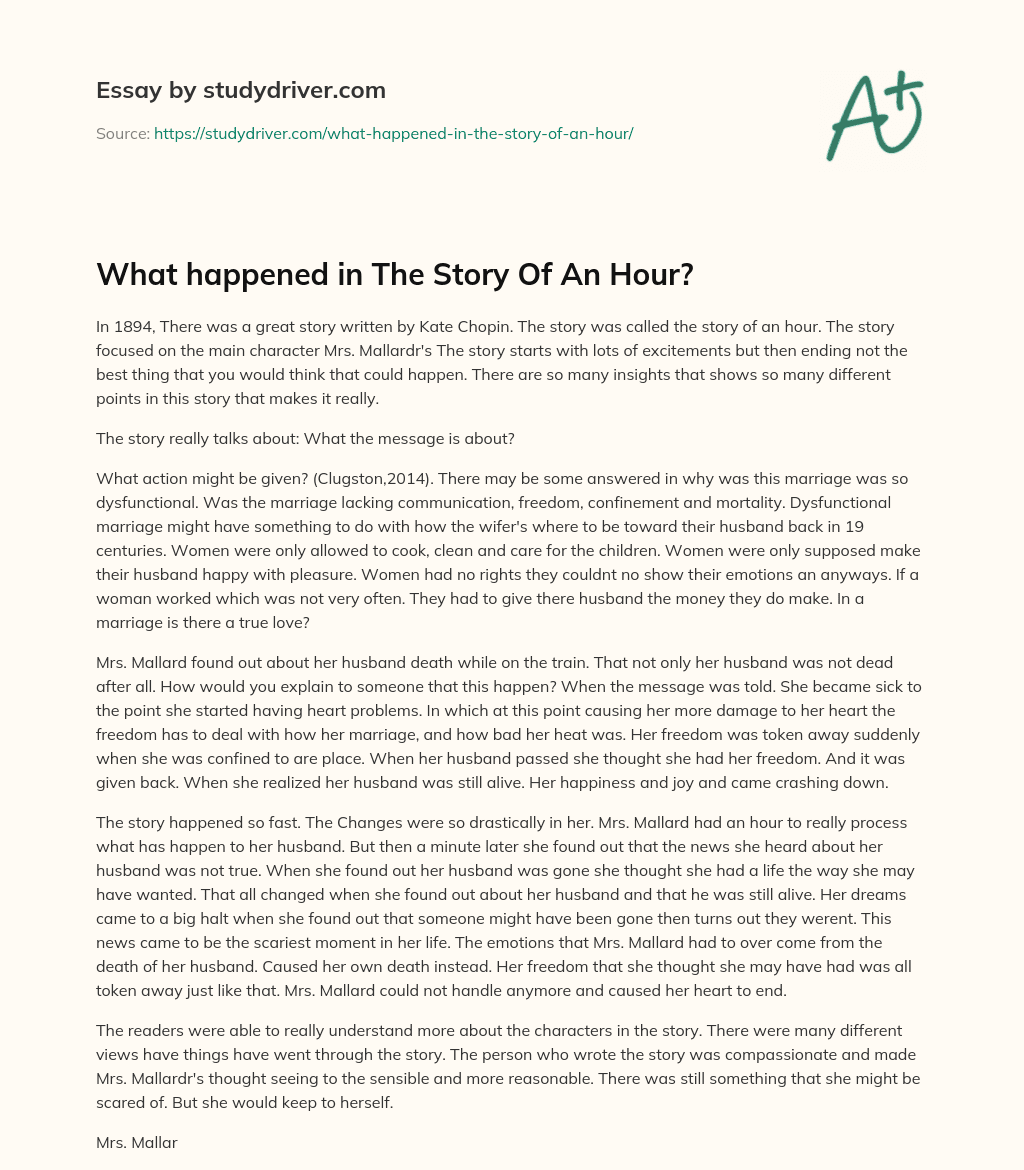 What Happened in the Story of an Hour? essay