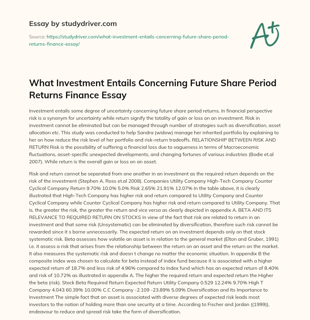 What Investment Entails Concerning Future Share Period Returns Finance Essay essay