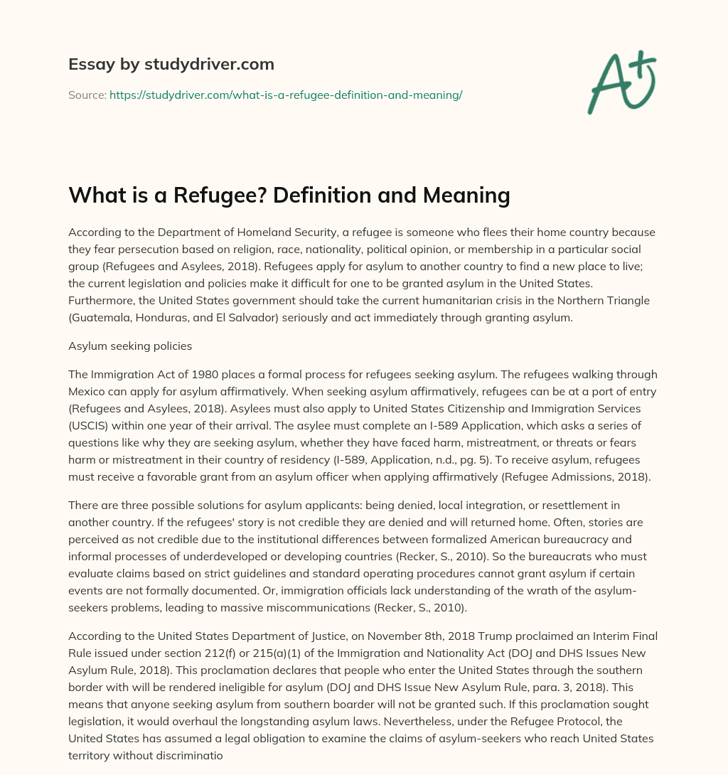What is a Refugee? Definition and Meaning essay