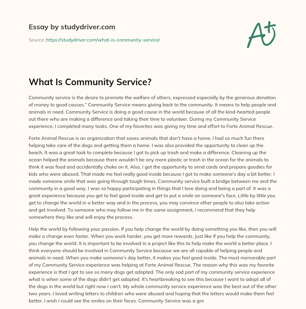 What is Community Service? essay