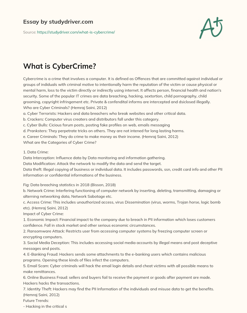 What is CyberCrime? essay