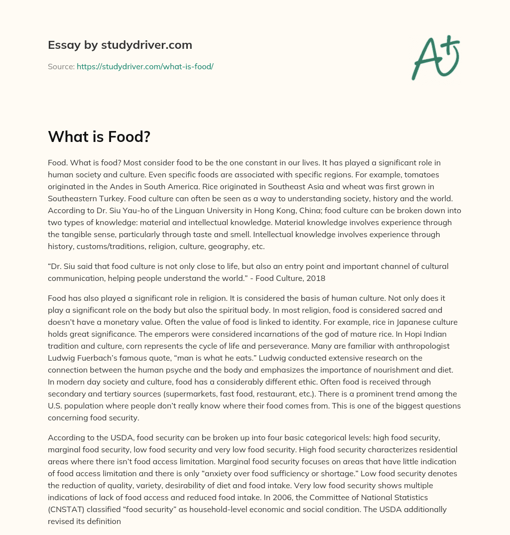 What is Food? essay