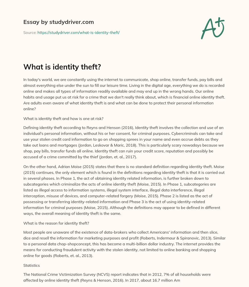 What is Identity Theft? essay