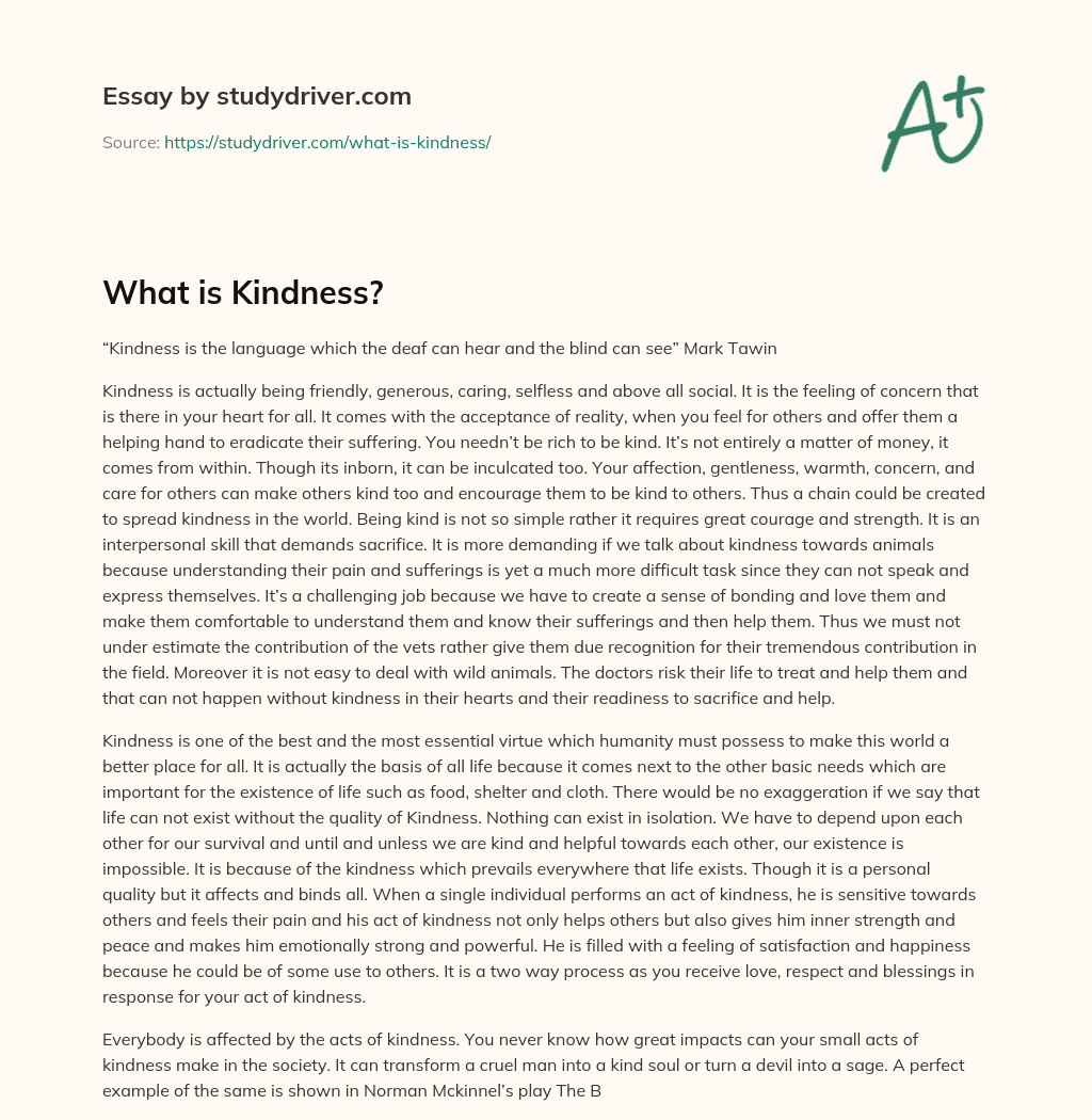 What is Kindness? essay