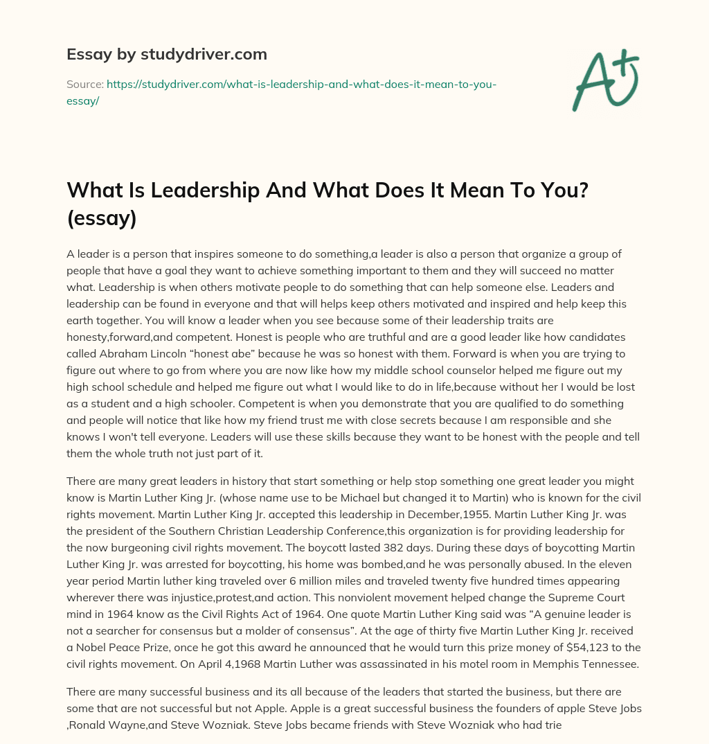 What is Leadership and what does it Mean to You? (essay) essay