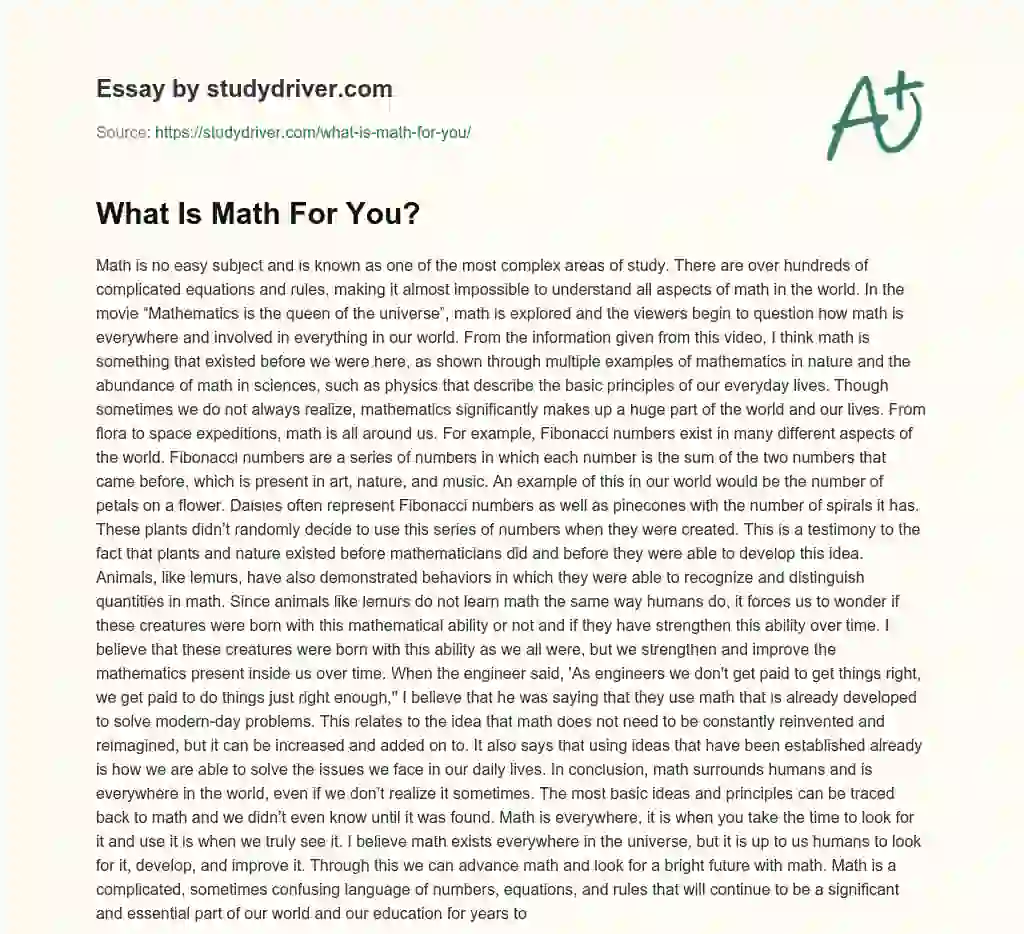 What is Math for You? essay
