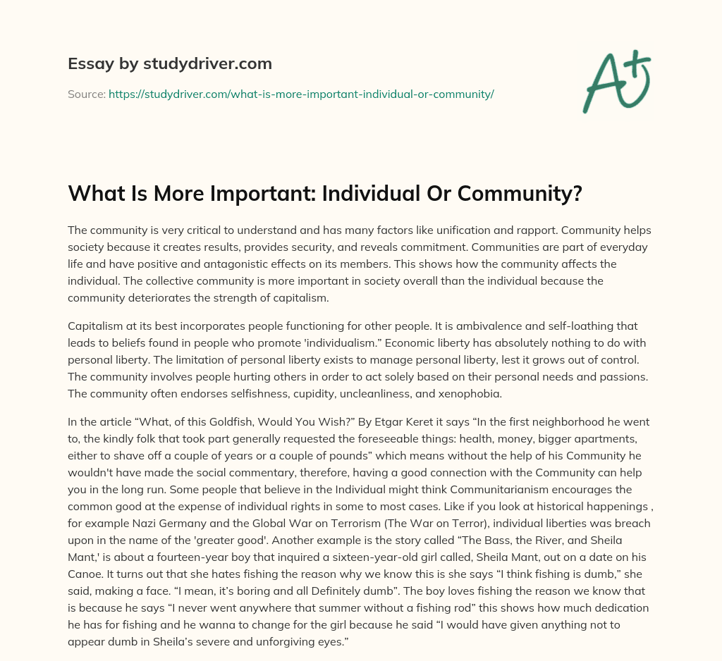 What is more Important: Individual or Community?   essay