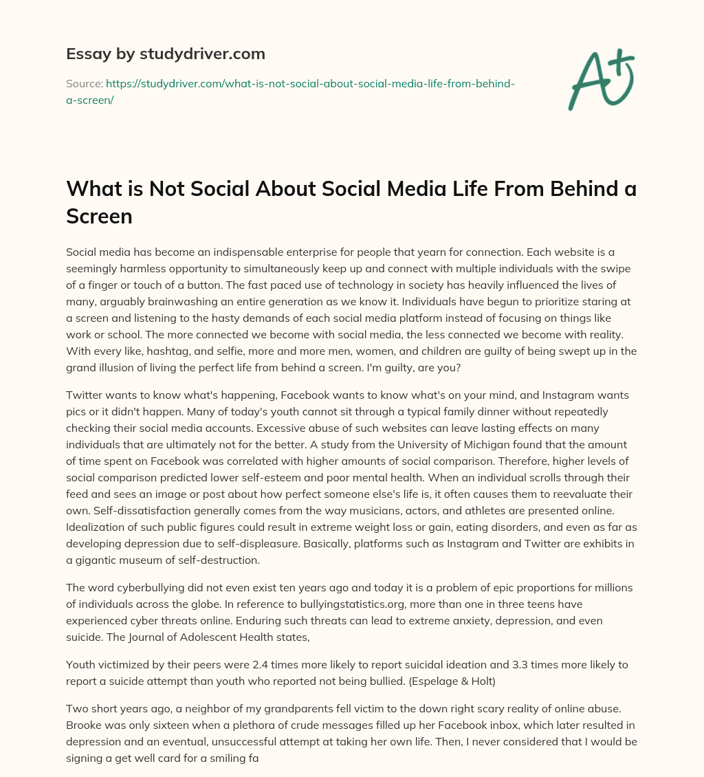 What is not Social about Social Media  Life from Behind a Screen essay