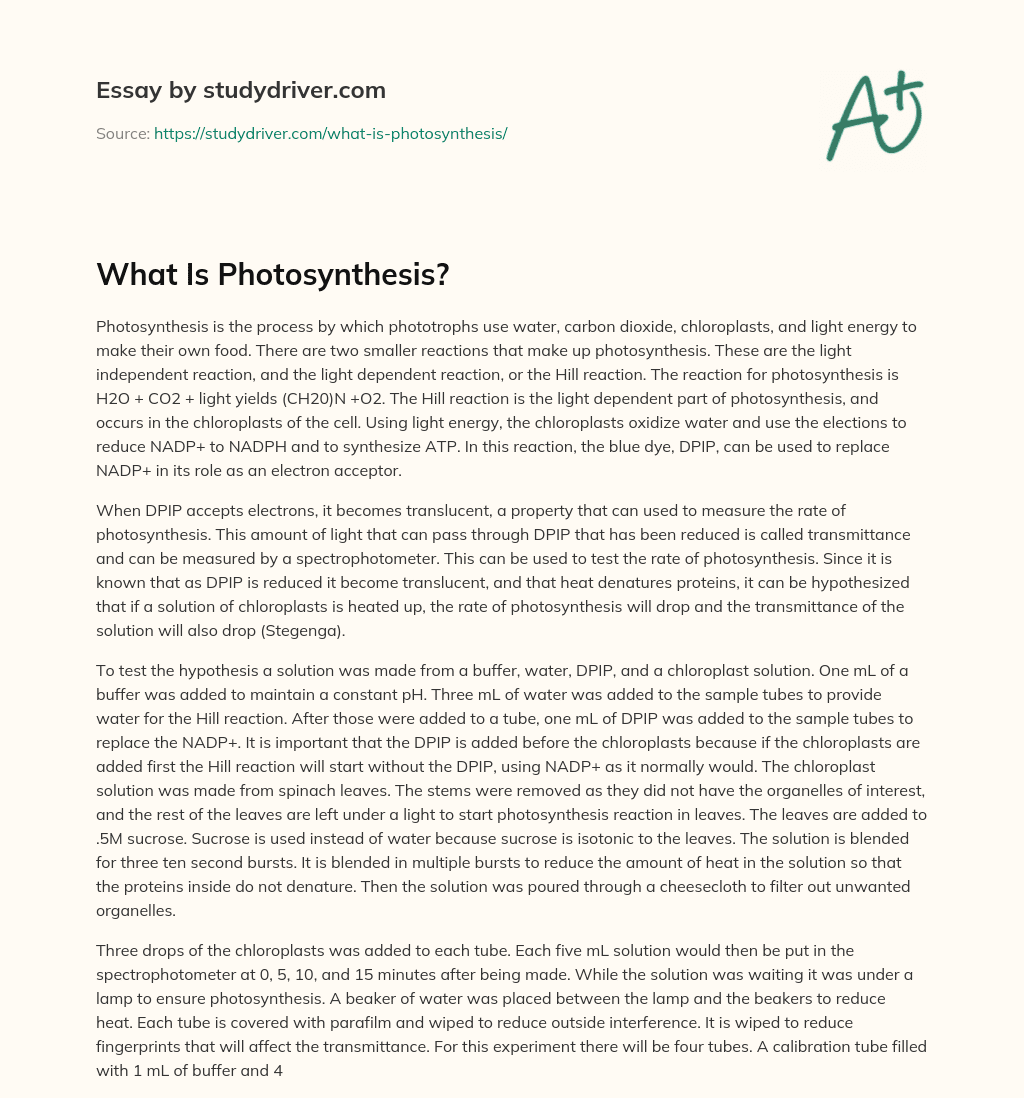 What is Photosynthesis? essay