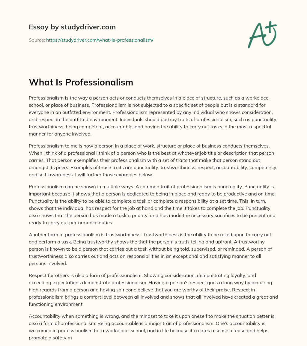 What is Professionalism essay
