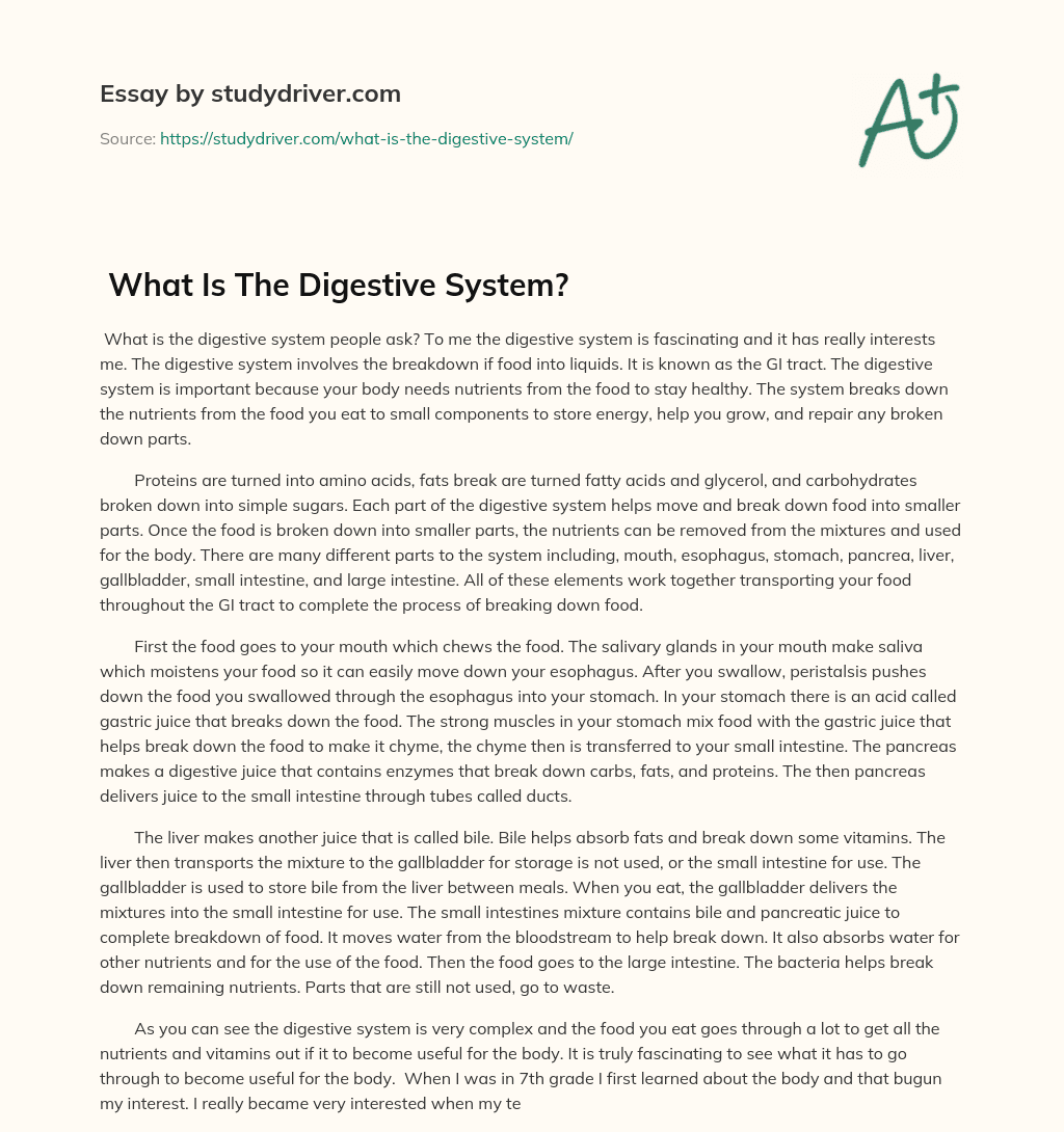  What is the Digestive System? essay