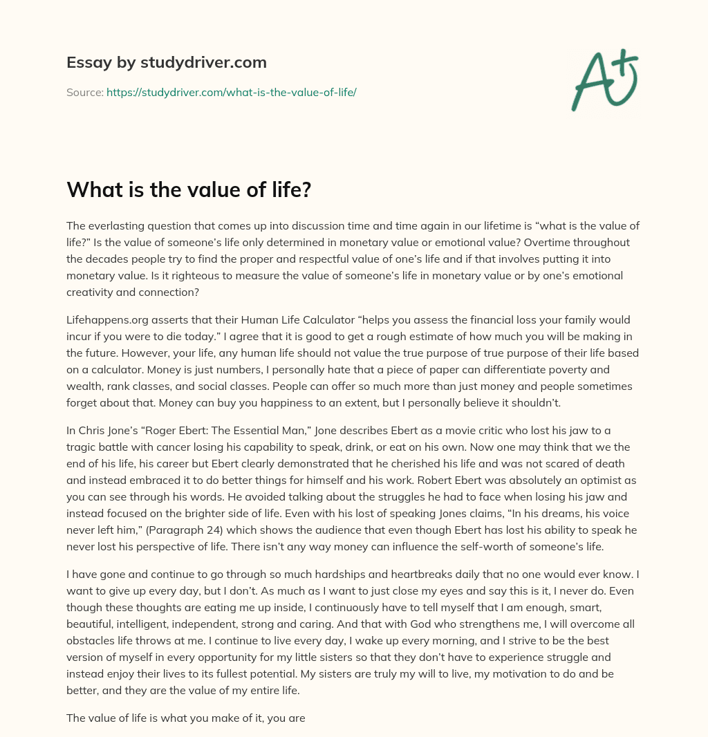 What is the Value of Life? essay