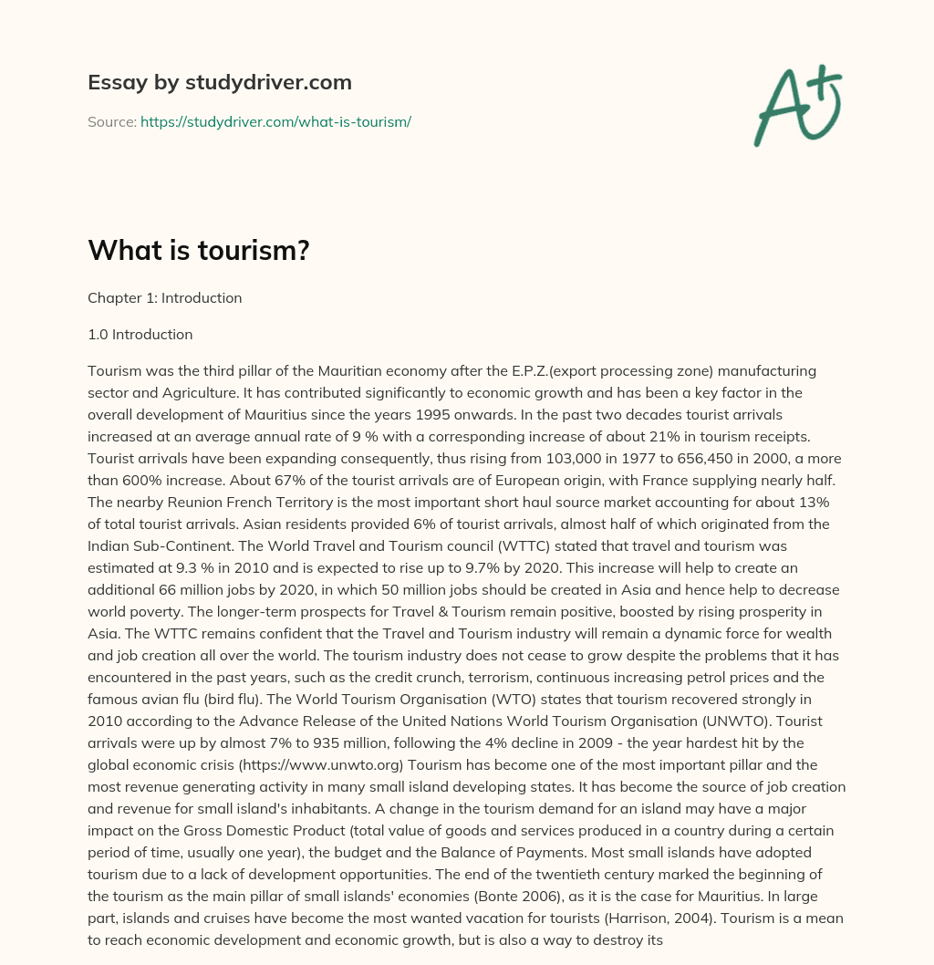 What is Tourism? essay